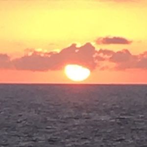 Meet your Posher, Anita